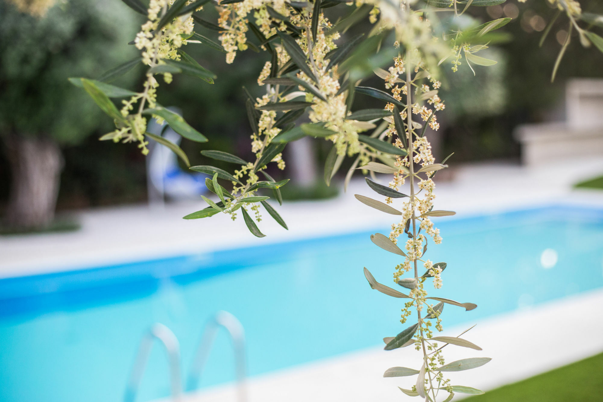 Corina Suites And Apartments Λεμεσός Εξωτερικό φωτογραφία
